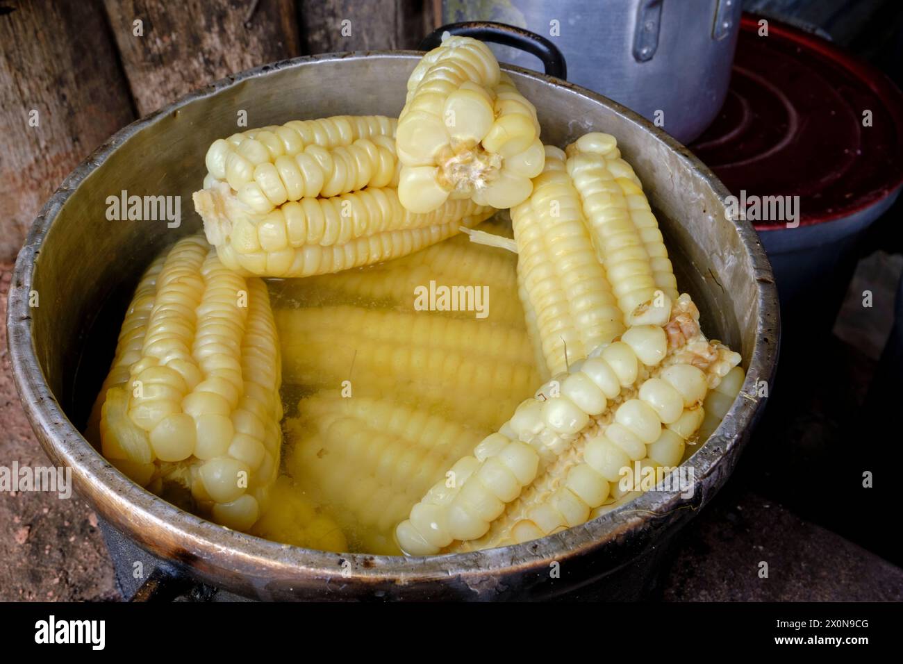 Perù, provincia di Cuzco, villaggio di anta, ristorante locale, piatto di mais Foto Stock