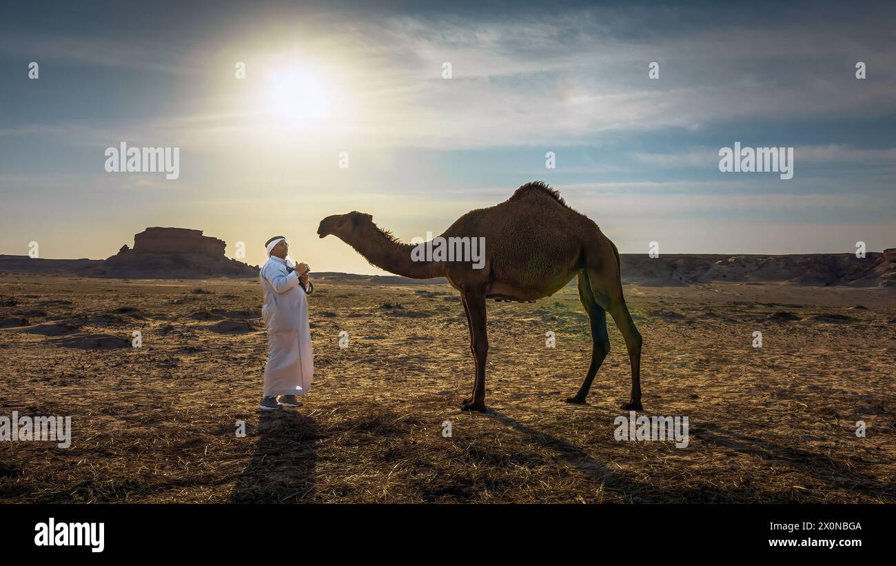 Paesaggio con un gruppo di cammelli nel deserto di al-Sarar, Arabia Saudita. Foto Stock