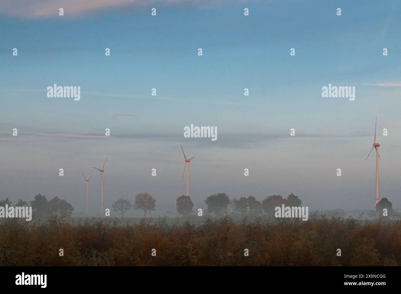 Produzione sostenibile di energia verde con turbine eoliche nella nebbiosa luce del mattino Foto Stock