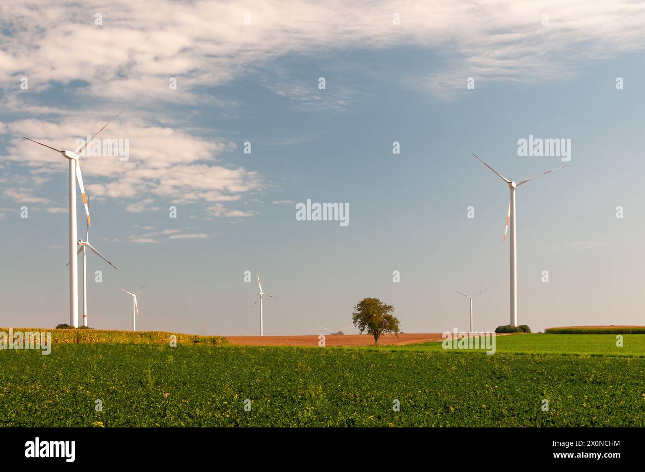 Produzione sostenibile di energia verde con turbine eoliche, in una giornata di sole con cielo nuvoloso Foto Stock