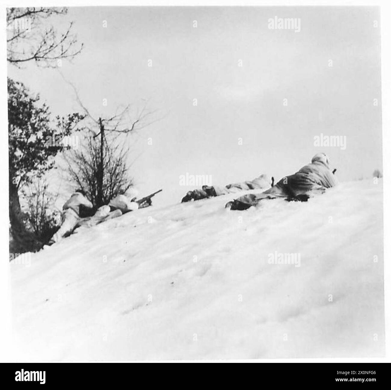 Il CSM Scalambra si ferma su una cresta durante la pattuglia in Italia, osservando il movimento nemico dalla copertura dietro un cespuglio. Foto Stock