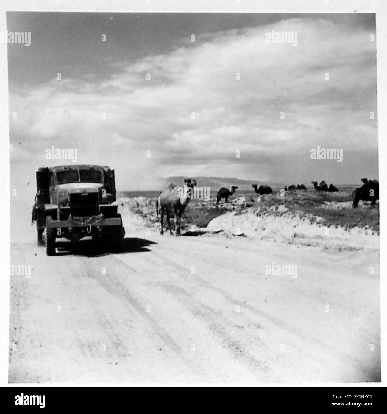 Le truppe americane spostano veicoli di trasporto lungo Macknassay Road in Tunisia, generando nuvole di polvere durante le operazioni. Foto Stock