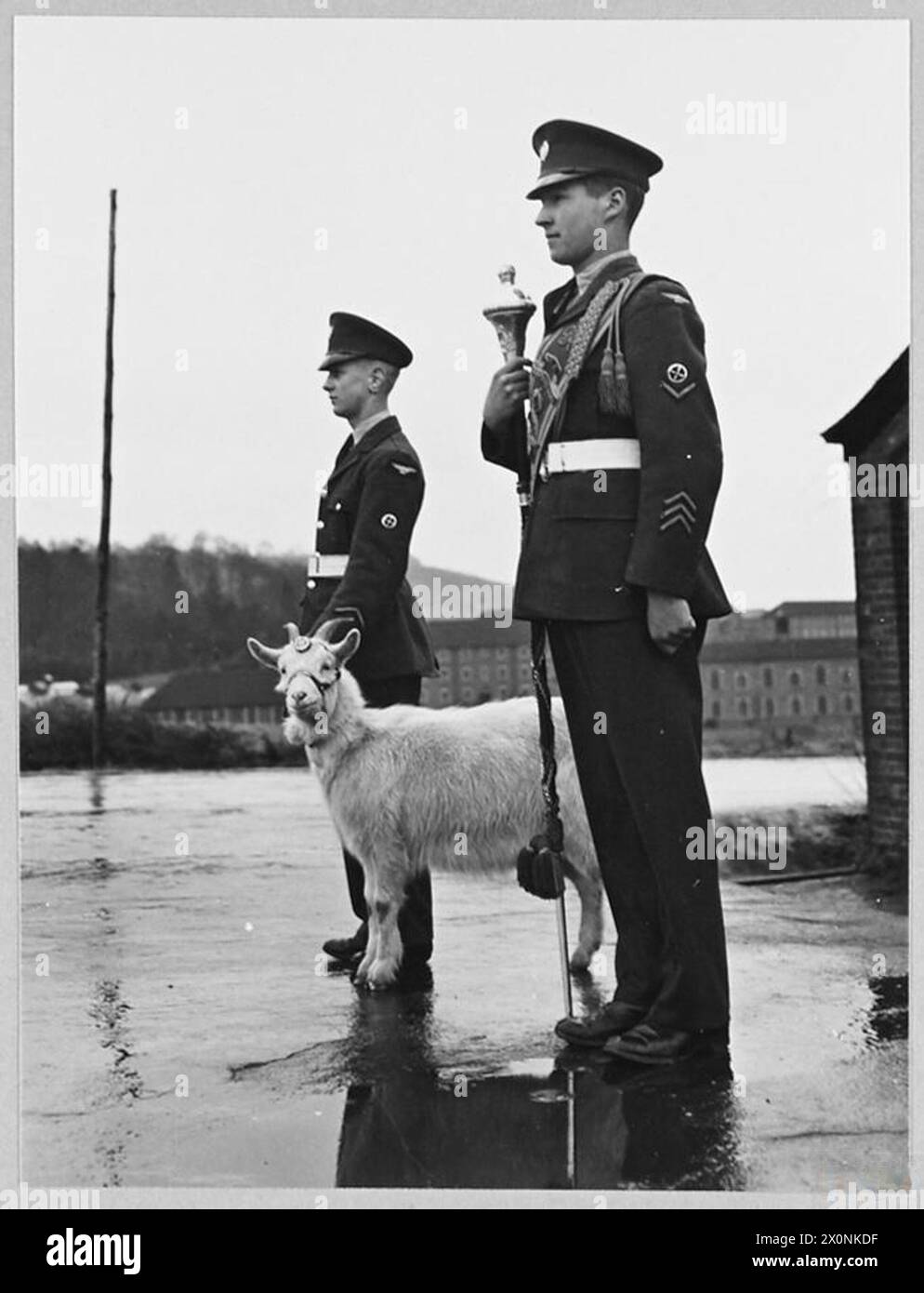 Il Drum Major e la capra della mascotte "Lewis" appaiono in parata alla RAF Apprentice School di Halton, fotografati in formato negativo. Foto Stock