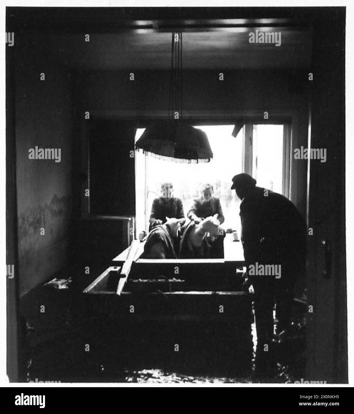 Una barca a fondo piatto entra in una casa allagata sull'isola Walcheren per salvare due capre in cerca di rifugio. Negativo fotografico, British Army, 21st Army Group. Foto Stock