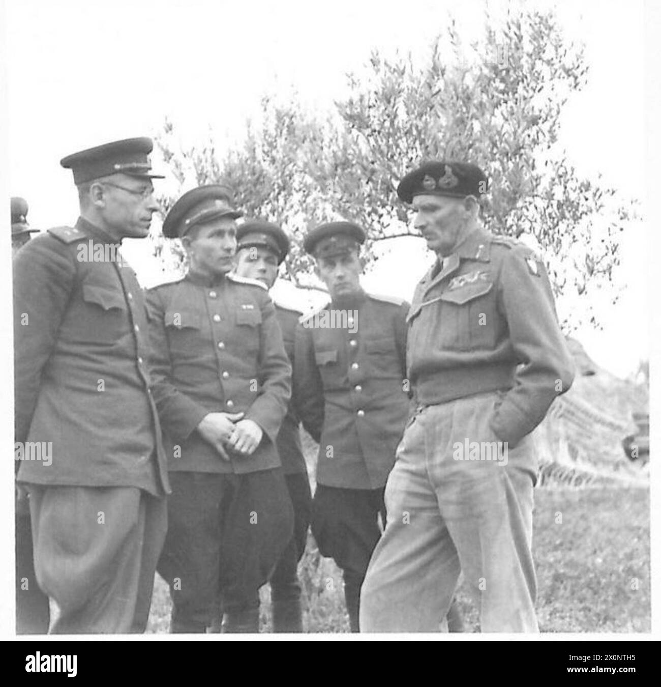 Il generale Montgomery interagisce con gli ufficiali russi durante le operazioni dell'Ottava Armata in Italia. Foto Stock