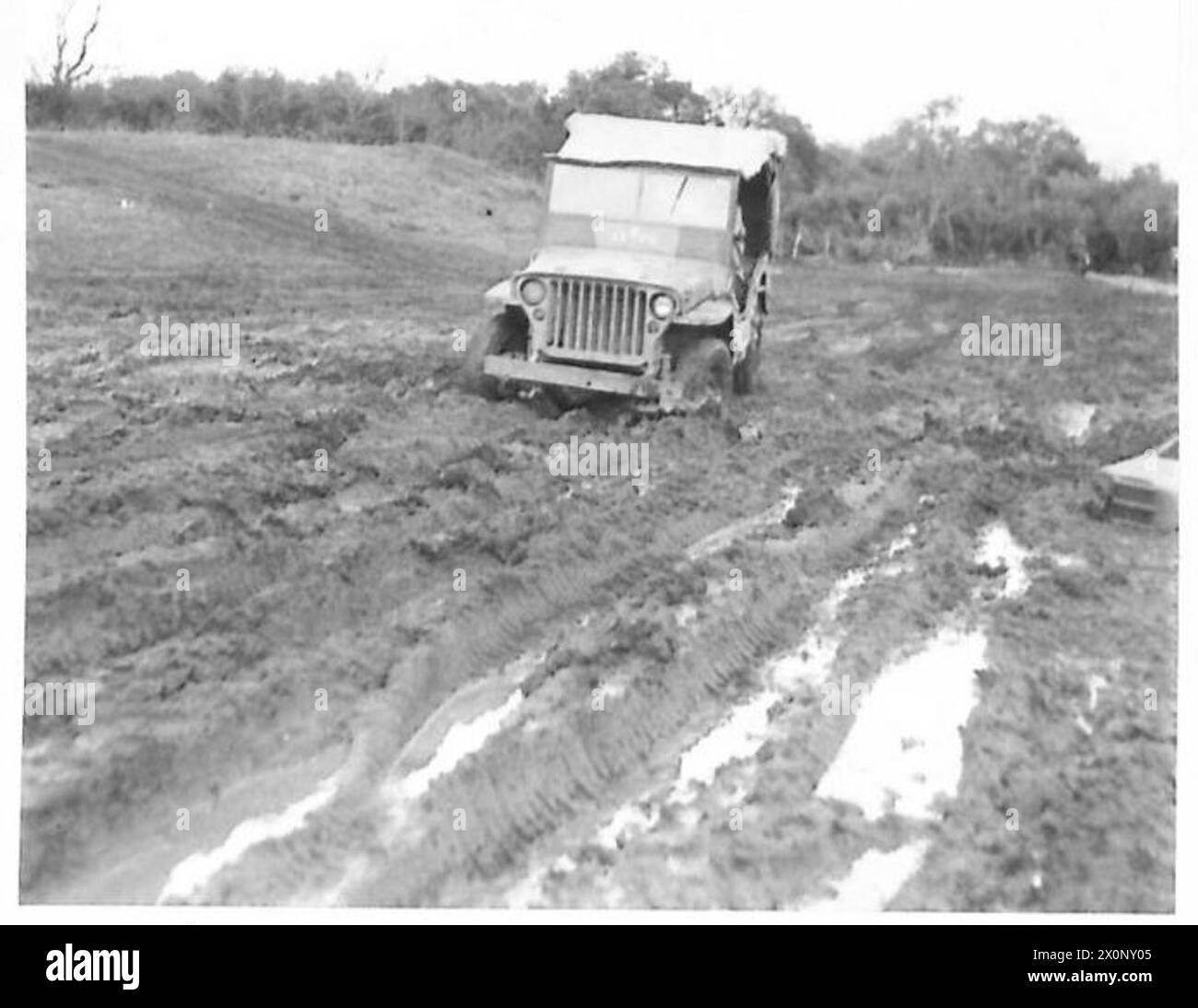I campi della testa di ponte di Anzio mostrano i tracciati delle jeep e delle auto leggere utilizzate dalla Quinta Armata, rendendo il terreno accidentato e scivoloso. Foto Stock