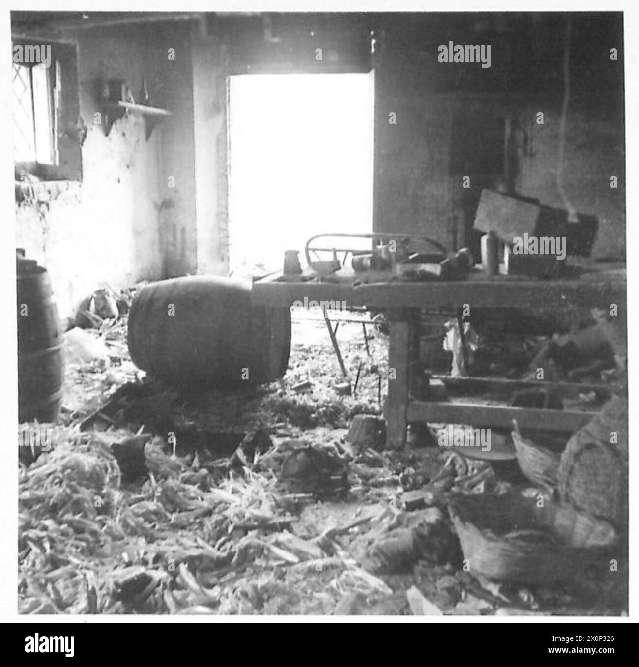 La città di Villa grande in Italia mostra la completa distruzione dei combattimenti, senza popolazione civile, cartelli distrutti, edifici danneggiati e animali morti, illustrando la desolazione in tempo di guerra. Foto Stock