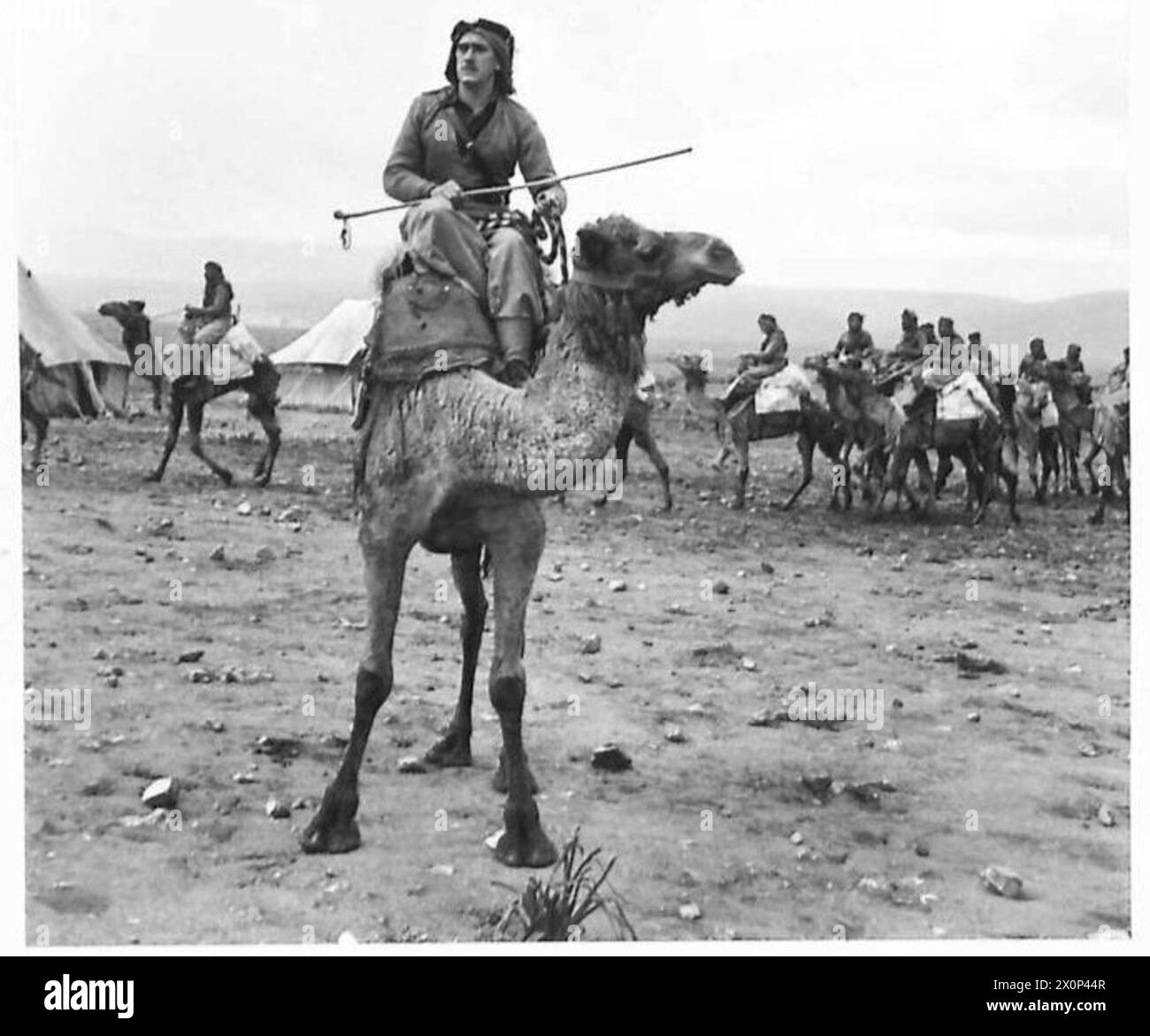 Un capo di squadra del reggimento drusi è montato sul suo cavallo durante i compiti dell'esercito. Foto Stock