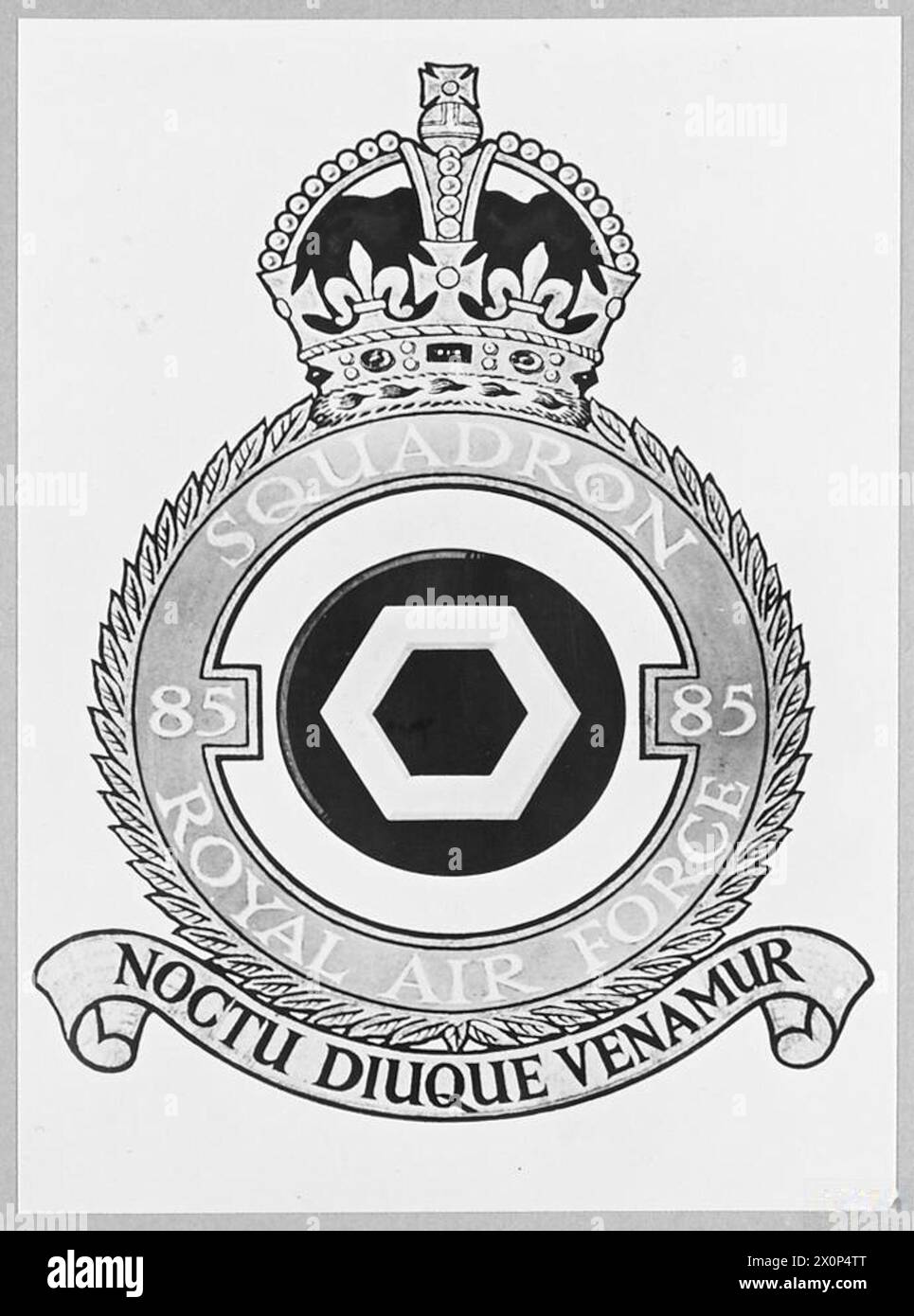 Il No. 85 Squadron della Royal Air Force porta lo stemma con il motto 'Noctu Diuque Venamur', che significa 'cacciamo di giorno e di notte', che rappresenta l'identità dello squadrone nel 1943. Foto Stock