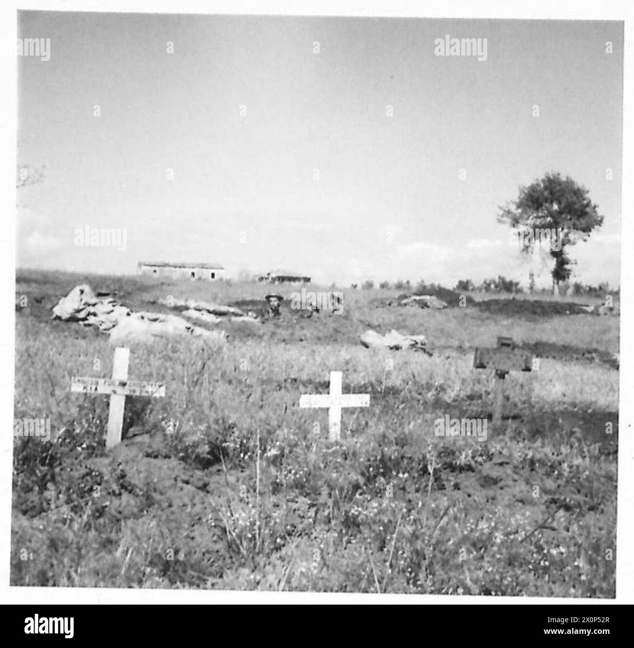 N. 14 TP. Le posizioni del 5 Recce Regiment includono dugouts e mortai da 2 pollici alla testa di ponte di Anzio, con tre tombe in primo piano e pozzi di difesa in avanti sullo skyline. Foto Stock
