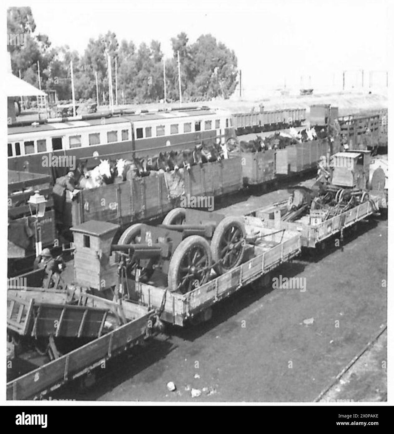 Il trasporto di muli francesi e l'artiglieria americana arrivano alla stazione di Kalaa Djerda in preparazione degli attacchi alleati a sud di Thala. Foto Stock