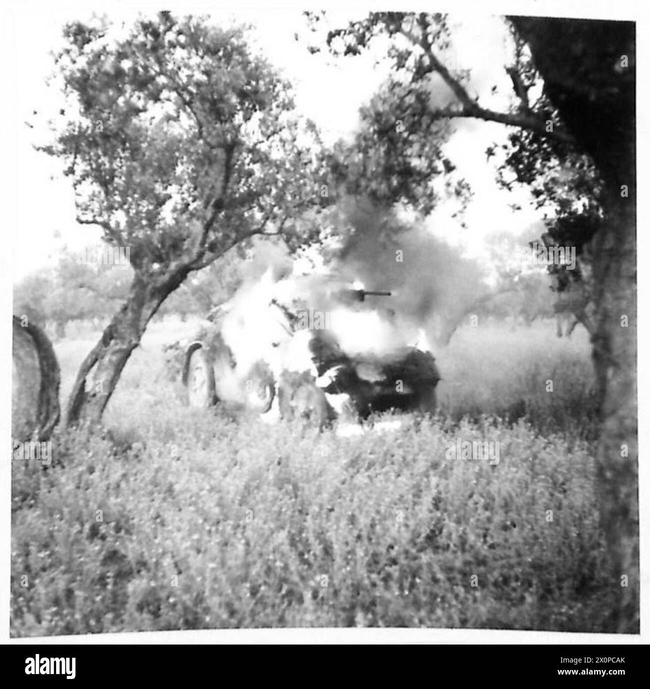 Durante le fasi finali della campagna del Nord Africa, vengono mostrati in fiamme veicoli corazzati e camion italiani in un campo vicino a Grombia. Foto Stock
