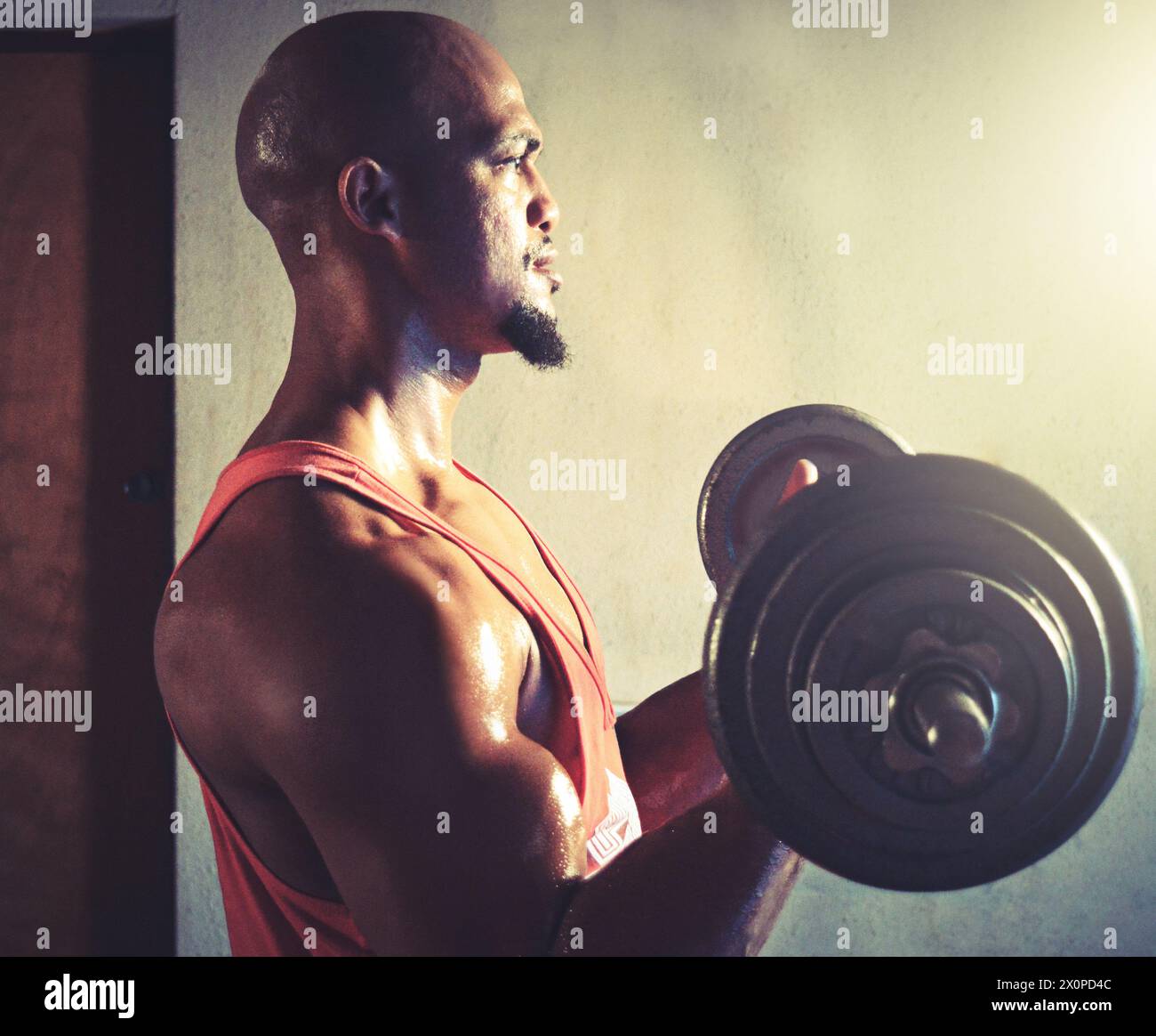 Uomo, bicipite e sollevamento pesi in palestra per la potenza, l'esercizio fisico e l'allenamento per muscoli forti del braccio. Persona maschile nera, profilo e atleta per fitness e. Foto Stock