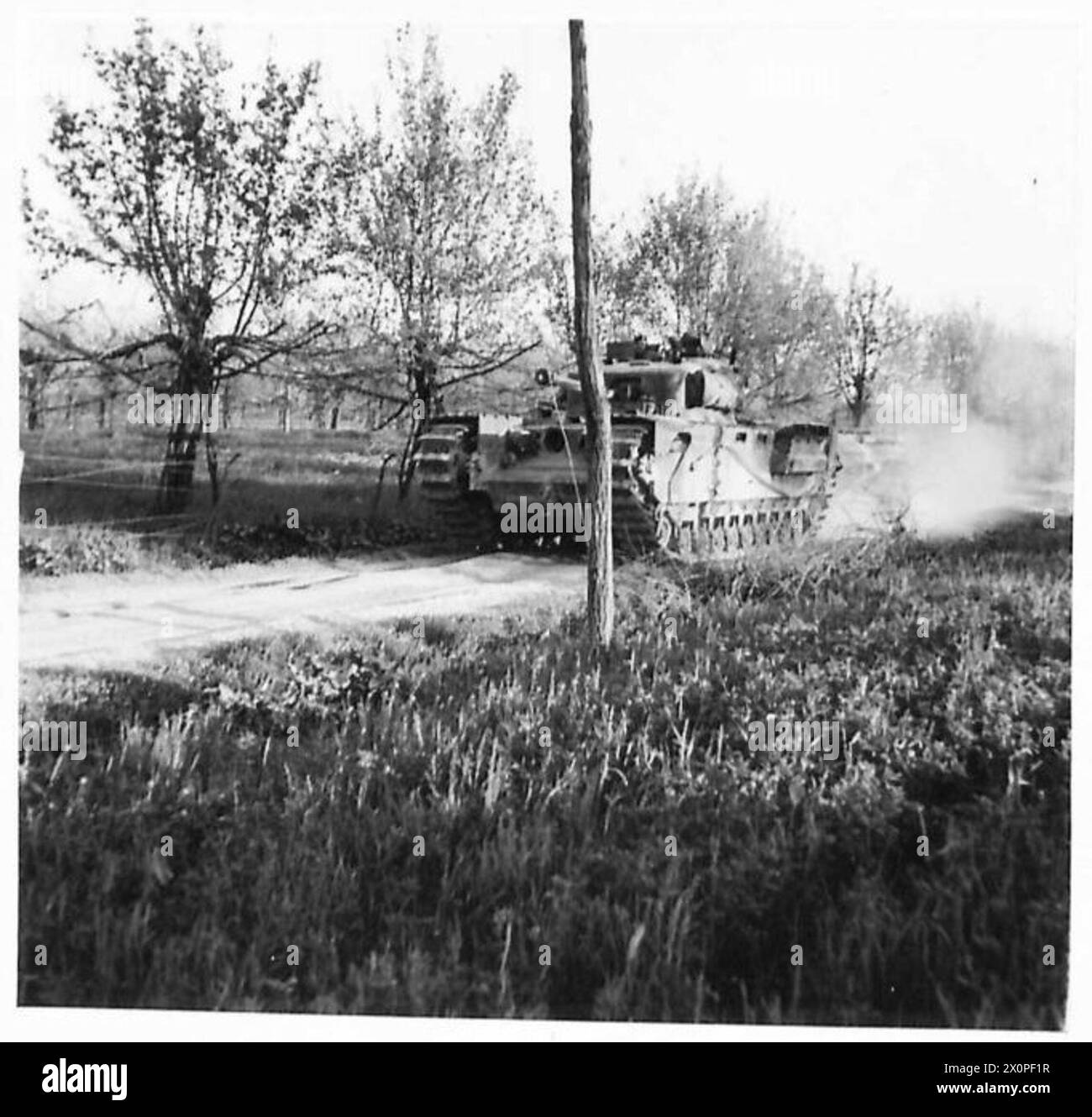 OTTAVA ARMATA: ATTACCO ATTRAVERSO IL FIUME SENIO - i lanciafiamme Churchill si muovono attraverso le vigne vicino al fiume Senio. Negativo fotografico, British Army Foto Stock