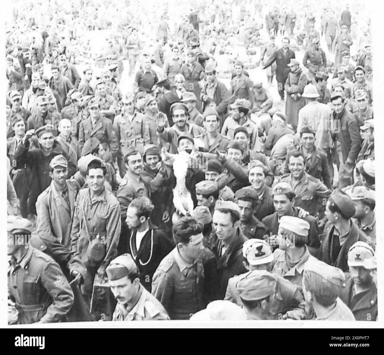 Un gran numero di prigionieri sono detenuti in un complesso a Tunisi. Negativo fotografico, British Army. Foto Stock