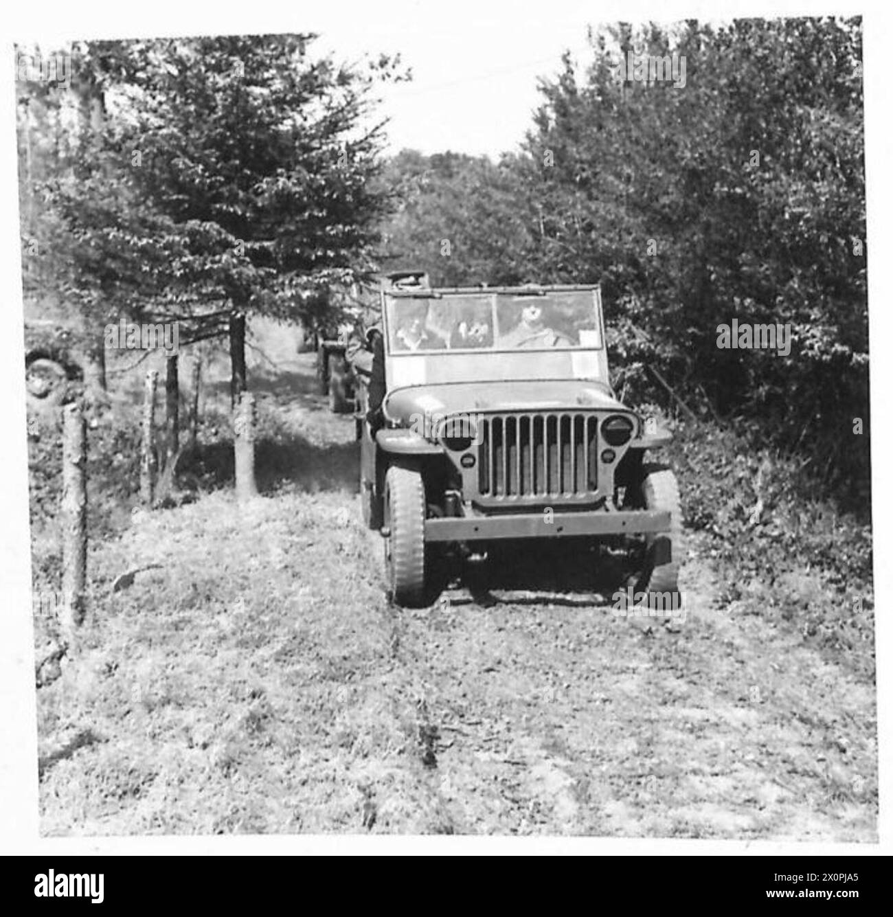 La fotografia mostra la Duchessa di Kent che arriva al campo della parata in jeep per ispezionare il battaglione di fanteria leggera dell'Oxfordshire e del Buckinghamshire. Negativo fotografico, British Army. Foto Stock