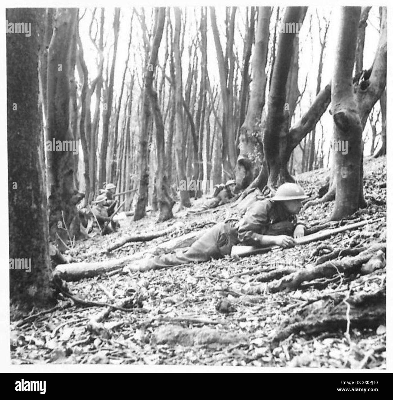 Gli uomini dei South Wales Borderers si nascondono in un bosco di faggio sulle South Downs a Chanctonbury Hill, nel Sussex, durante un esercizio di paracadute. Il negativo fotografico documenta il corso di formazione. Foto Stock