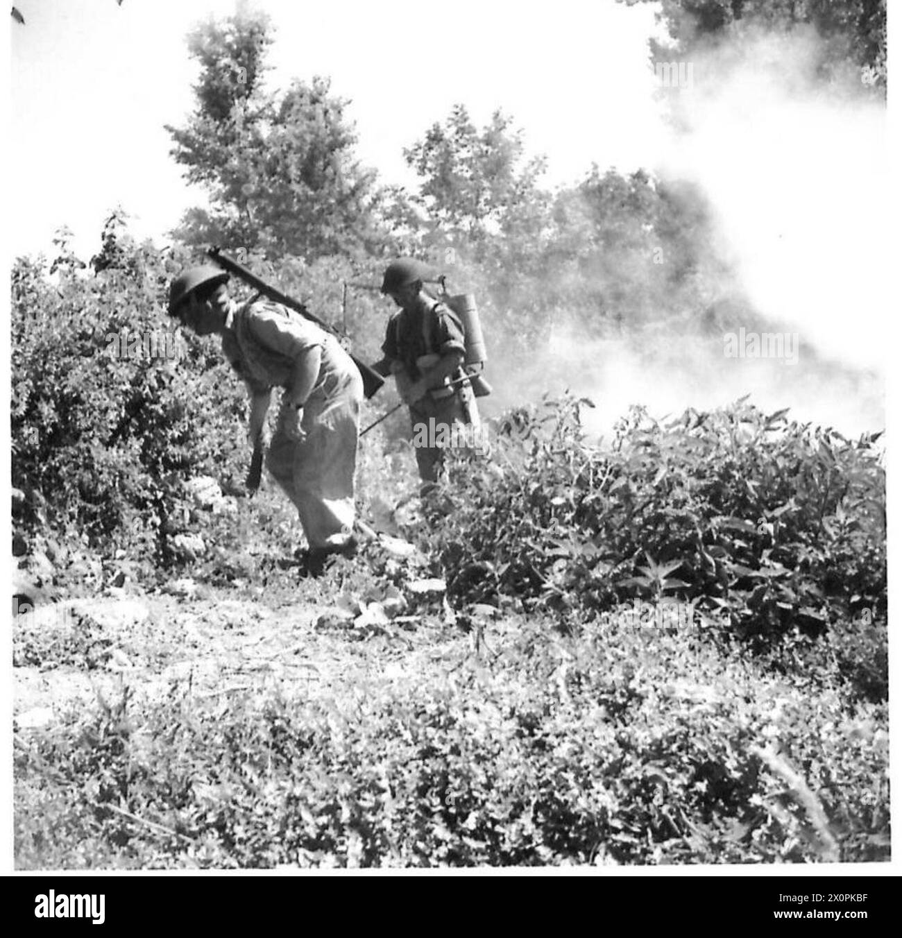 Un'unità dell'esercito britannico pulisce la fitta vegetazione in Sicilia con machete per ridurre gli habitat di zanzare portatori di malaria. Foto Stock