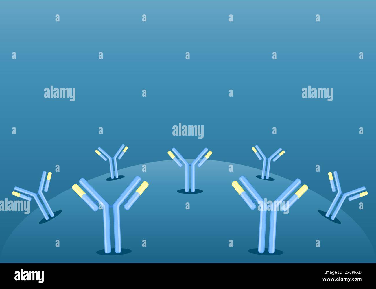 Anticorpi. Immunoglobuline IgE o IgG. Immunità umorale. Ogni anticorpo si lega a un antigene specifico. Illustrazione vettoriale piatto isometrico Illustrazione Vettoriale
