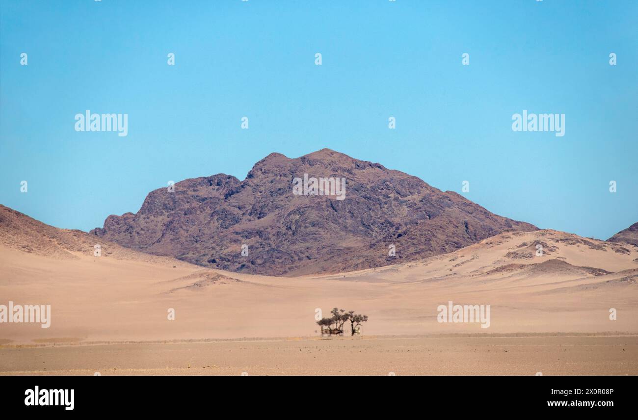 La tranquilla ma colorata riserva naturale di Namib Rand, con montagne sullo sfondo. Foto Stock