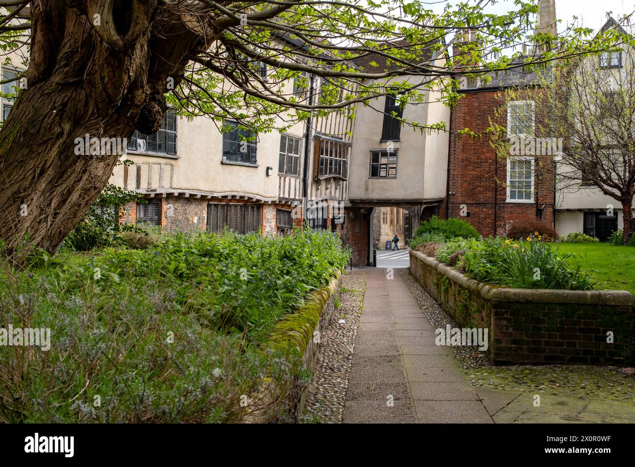 Norwich, Norfolk, Regno Unito – 7 aprile 2024. Cortile medievale e storico nel centro della città Foto Stock