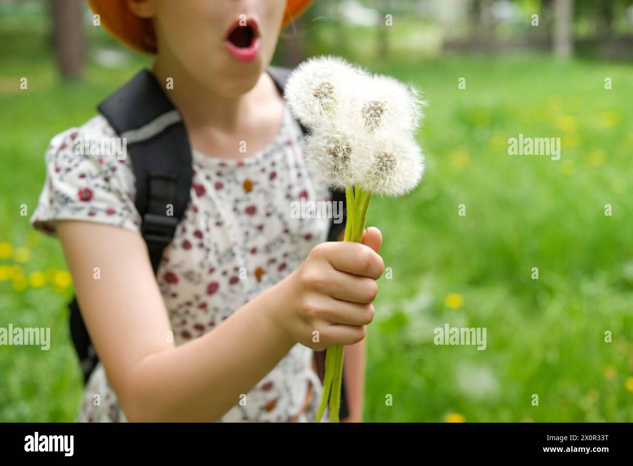 Una giovane ragazza che tiene in mano un bouquet di soffici fiori di tarassaco in un prato in una giornata di sole. Soffici semi di dente di leone sono sparsi dal vento Foto Stock