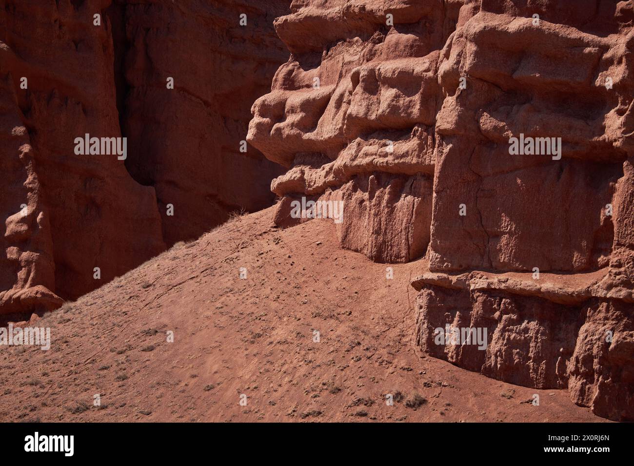 Colonne rocciose di arenaria rossa nel canyon, depositi eolici, risultato dell'erosione del suolo. resistenza agli agenti atmosferici e pulizia della roccia. background geologico Foto Stock