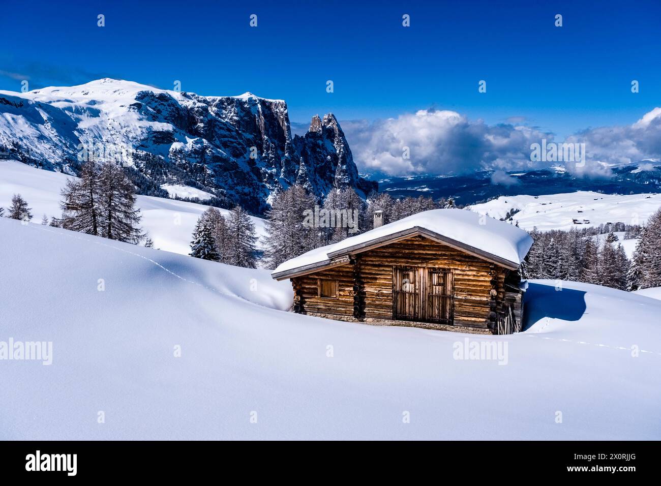 Campagna agricola collinare con pascoli innevati, alberi e capanna in legno all'Alpe di Siusi in inverno, cime del Monte Petz e dello Sciliar nel di Foto Stock