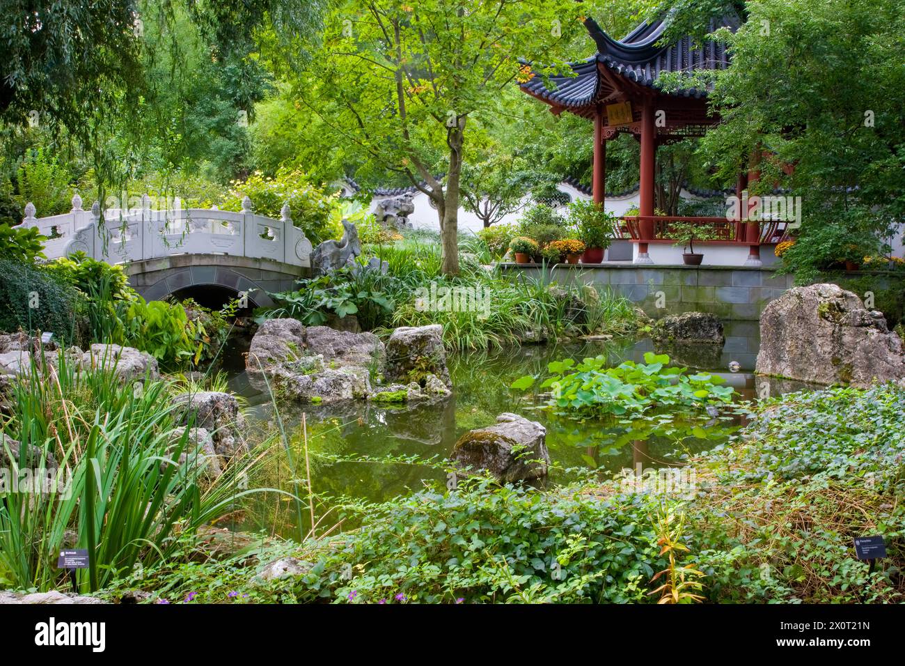 St Louis, Missouri, Stati Uniti. Chinese Garden, Missouri Botanical Garden. Nanjing Friendship Garden, con Padiglione e Ponte, pietre calcaree erose. Foto Stock