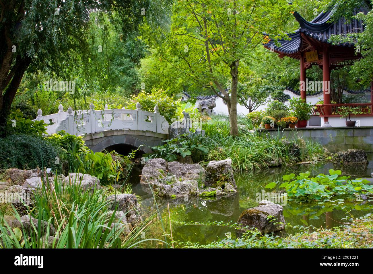 St Louis, Missouri, Stati Uniti. Chinese Garden, Missouri Botanical Garden. Nanjing Friendship Garden, con Padiglione e Ponte, pietre calcaree erose. Foto Stock