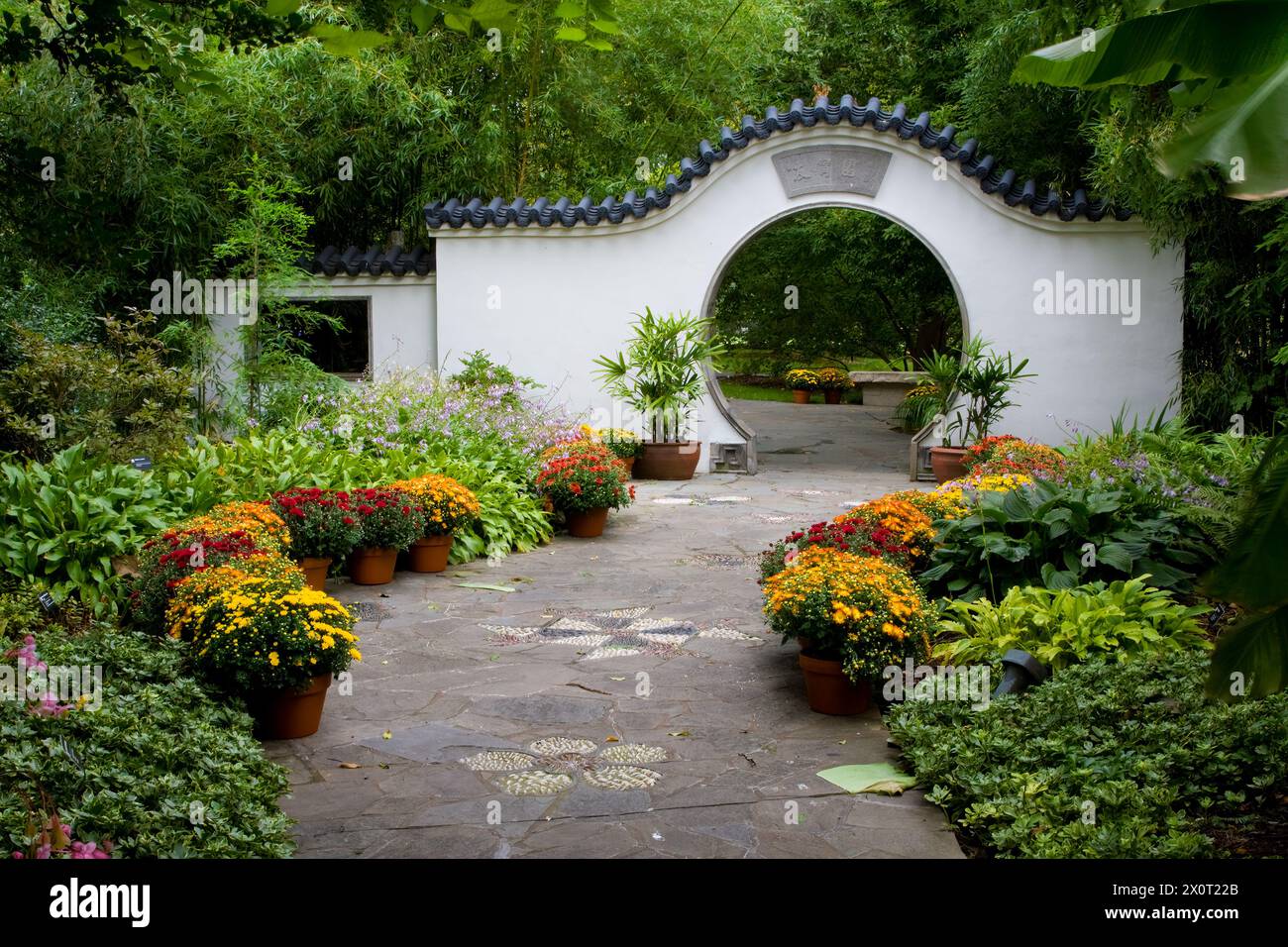 St Louis, Missouri, Stati Uniti. Chinese Garden, Missouri Botanical Garden. Nanjing Friendship Garden, con Moon Gate. Foto Stock