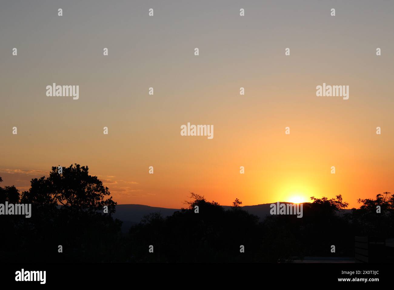 Bellissimi tramonti africani nel Lowveld Mpumalanga. Sfumature d'oro e cieli africani si illuminano: Esplora la magia del tramonto nel cuore dell'Africa Foto Stock