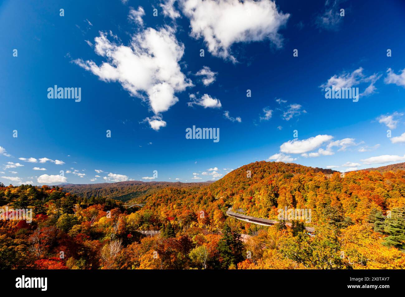 Monte Hachimantai, fogliame autunnale, linea di aspite Hachimantai (strada di montagna), città di Kazuno, Akita, Giappone, Asia orientale, Asia Foto Stock