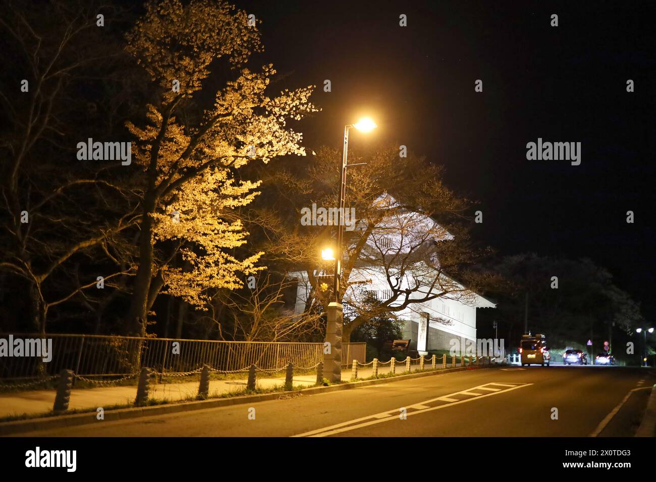 Città di Sendai, Prefettura di Miyagi, Giappone, 10 aprile 2024. Porta delle emozioni del castello di Sendai illuminata e fiori di ciliegio di notte. Foto Stock