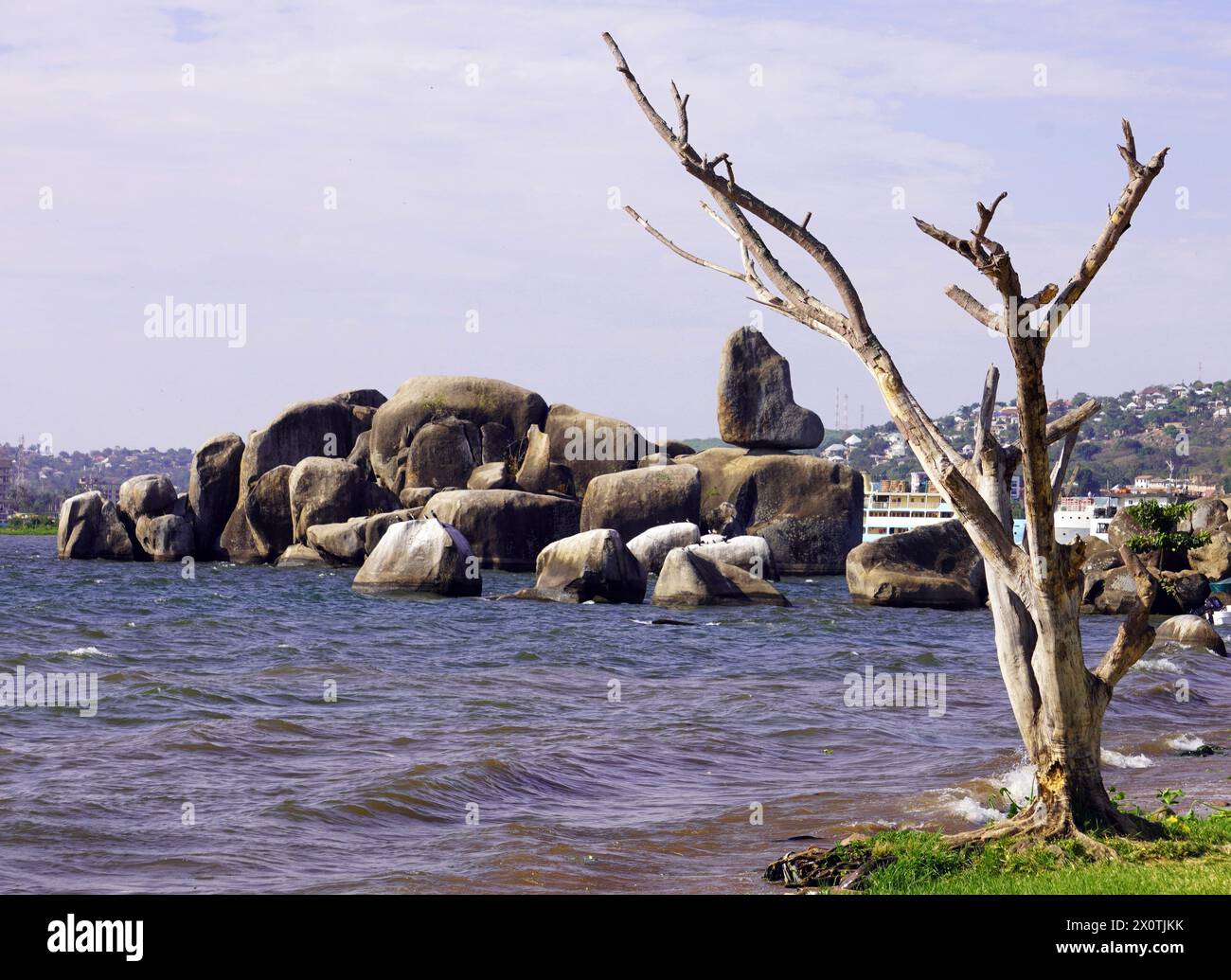 Blocchi di granito di Bismarck Rock con un albero senza foglie in primo piano e il lago Victoria sullo sfondo Foto Stock