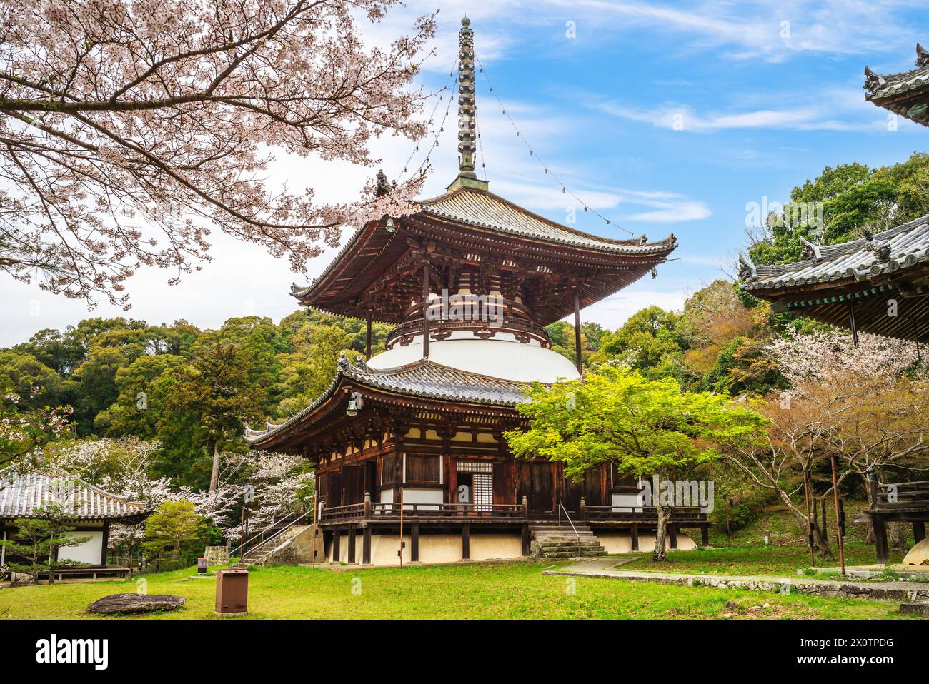 Daito Pagoda del tempio Negoro ji nella città di Iwade di Wakayama, Kansai, Giappone Foto Stock
