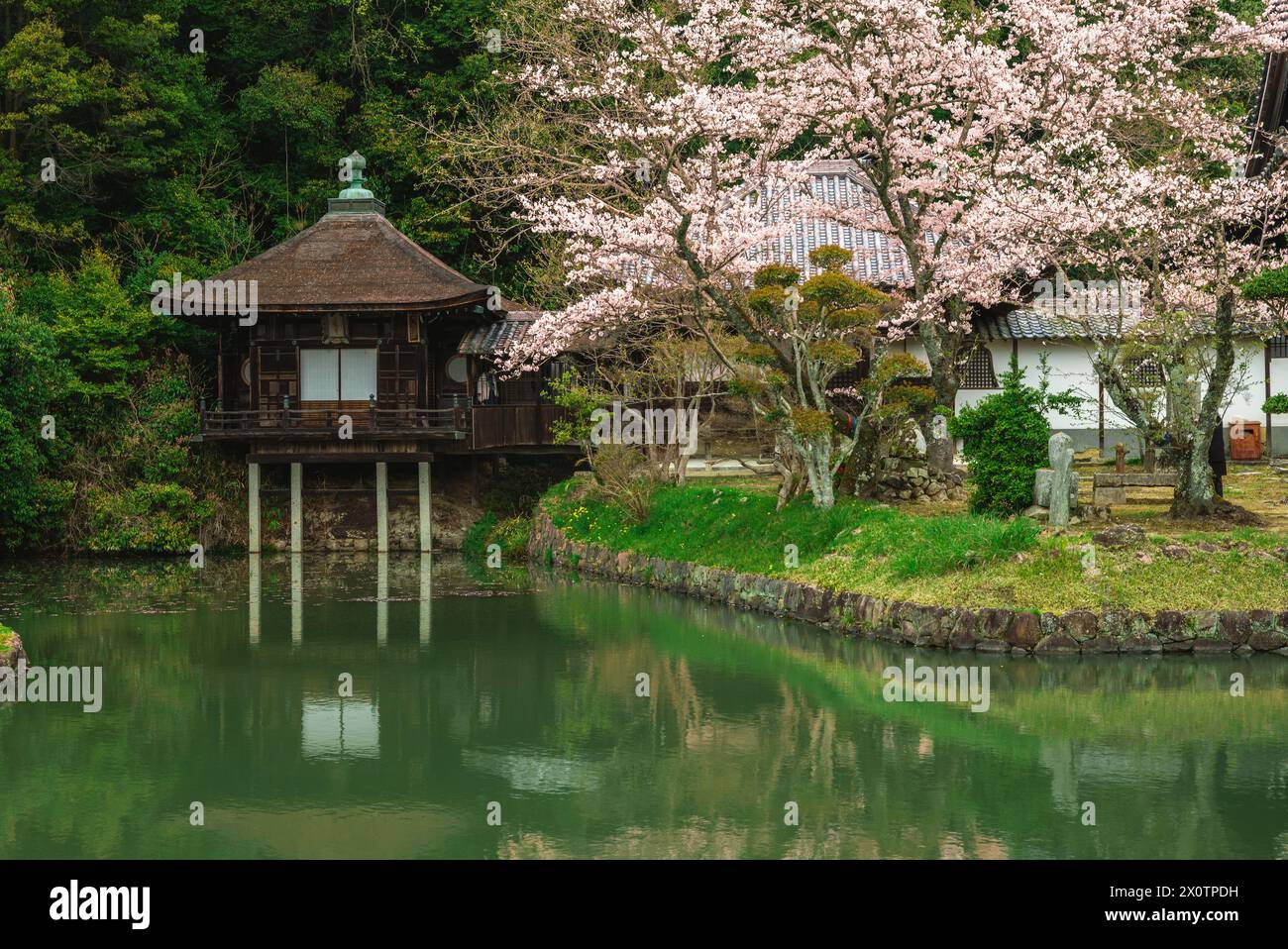 Giardino Giapponese del tempio Negoro ji nella città di Iwade di Wakayama, Kansai, Giappone Foto Stock