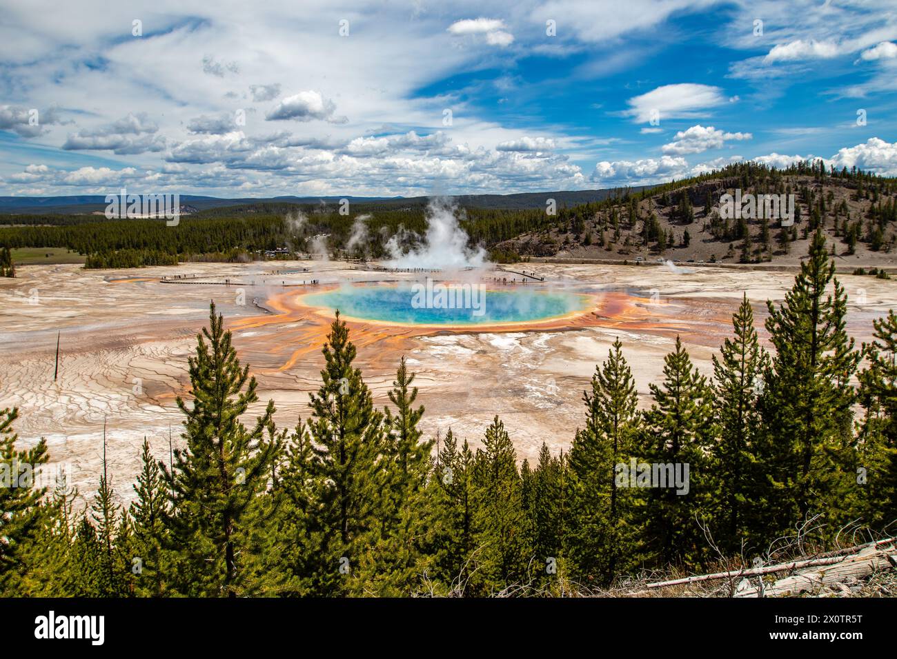 Grand Prismatic Spring nel parco nazionale di Yellowstone, Wyoming USA, dalla vista orizzontale del Fairy Falls Trail Foto Stock
