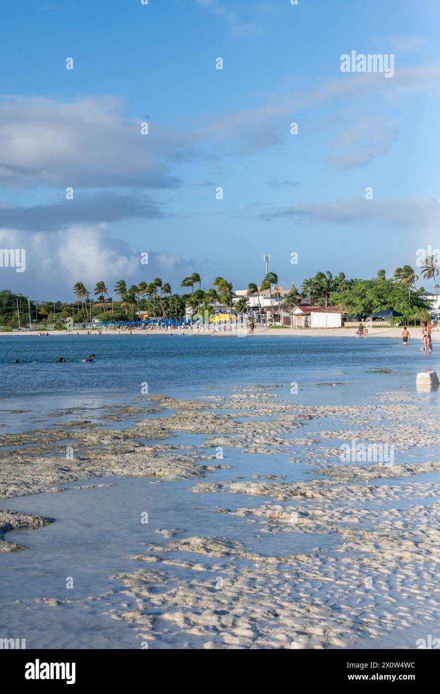 Nuotatore presso la spiaggia Surfside di Aruba in prima serata Foto Stock