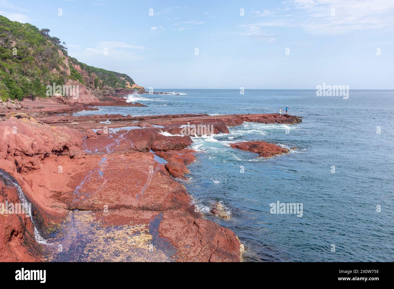 Costa rocciosa da Merimbula Wharf, Merimbula, nuovo Galles del Sud, Australia Foto Stock