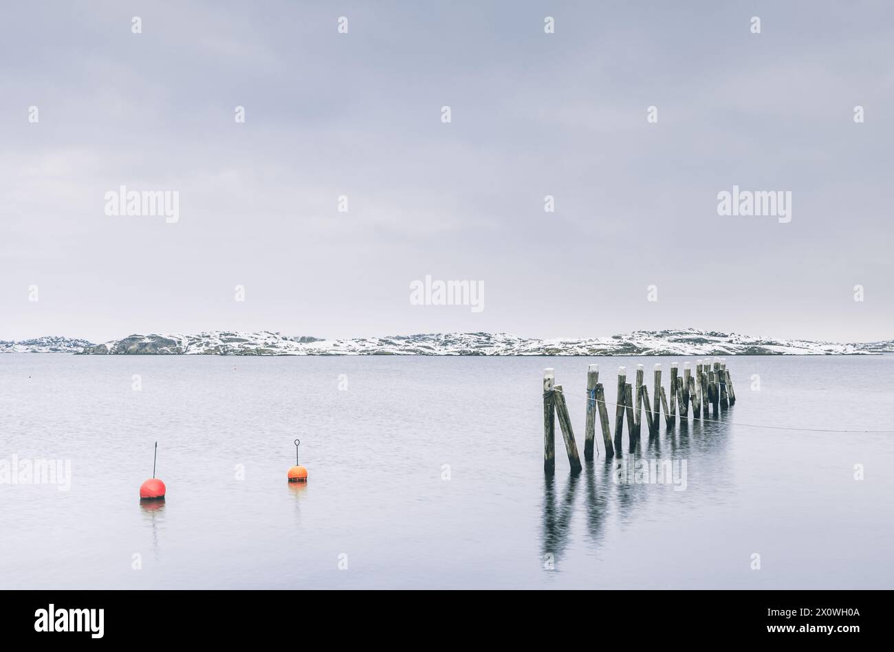 Due boe fluttuano pacificamente su un mare calmo, lungo una linea di pali di legno invecchiati che si estendono fino all'acqua, sotto un cielo soffocato e coperto. A. Foto Stock