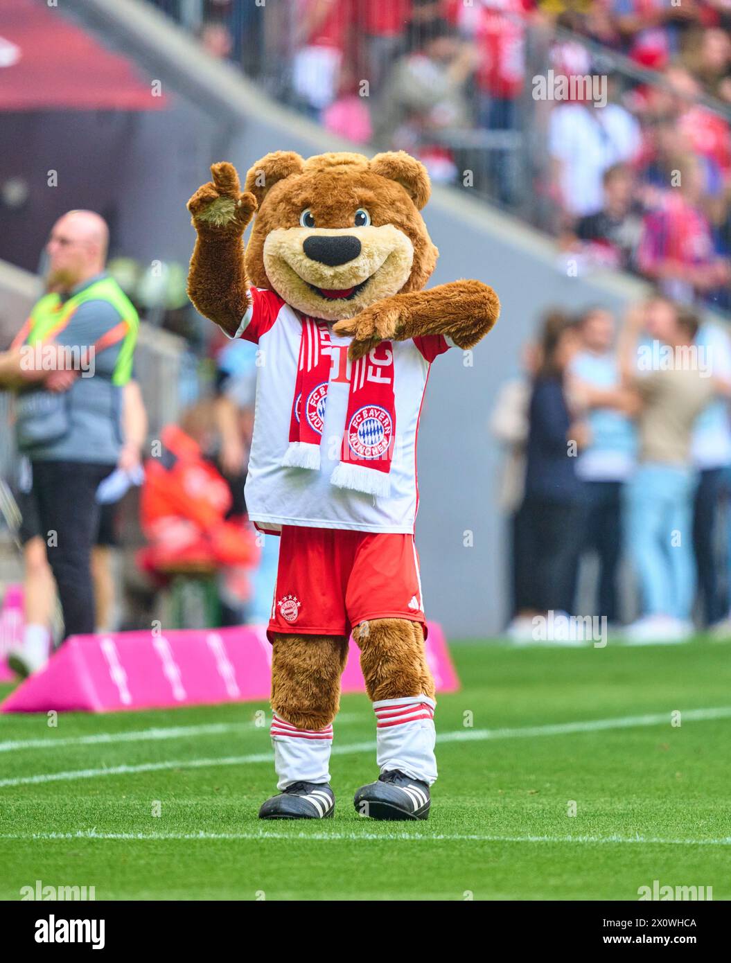 La mascotte del FCB Bernie , Maskottchen, nella partita FC BAYERN MUENCHEN - 1.FC Koeln 2-0 il 13 aprile 2024 a Monaco, Germania. Stagione 2023/2024, 1.Bundesliga, FCB, Monaco, giorno 29, 29.Spieltag Photographer: immagini ddp/STAR-images - LE NORMATIVE DFL VIETANO QUALSIASI USO DI FOTOGRAFIE come SEQUENZE DI IMMAGINI e/o QUASI-VIDEO - Foto Stock