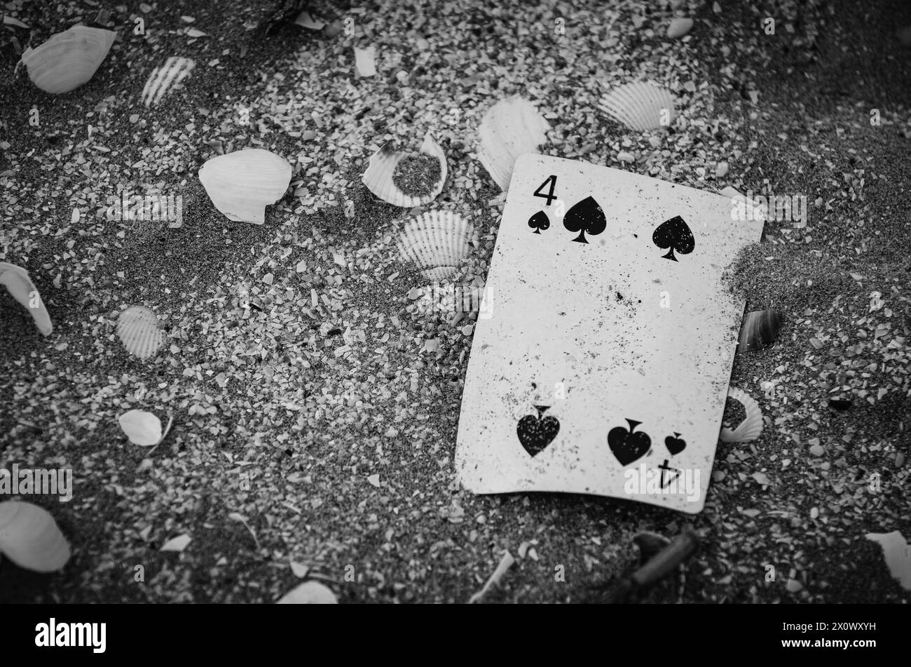 bianco e nero, mazzo di carte soffiate dal vento su una spiaggia, suggerisce la sfortuna di un giocatore d'azzardo Foto Stock
