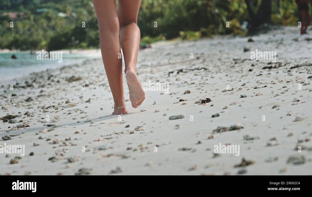 Una donna sta passeggiando lungo una spiaggia sabbiosa accanto all'oceano, con le onde che si infrangono dolcemente nelle vicinanze. La scena è tranquilla e serena, con gabbiani che volano in alto. Foto Stock