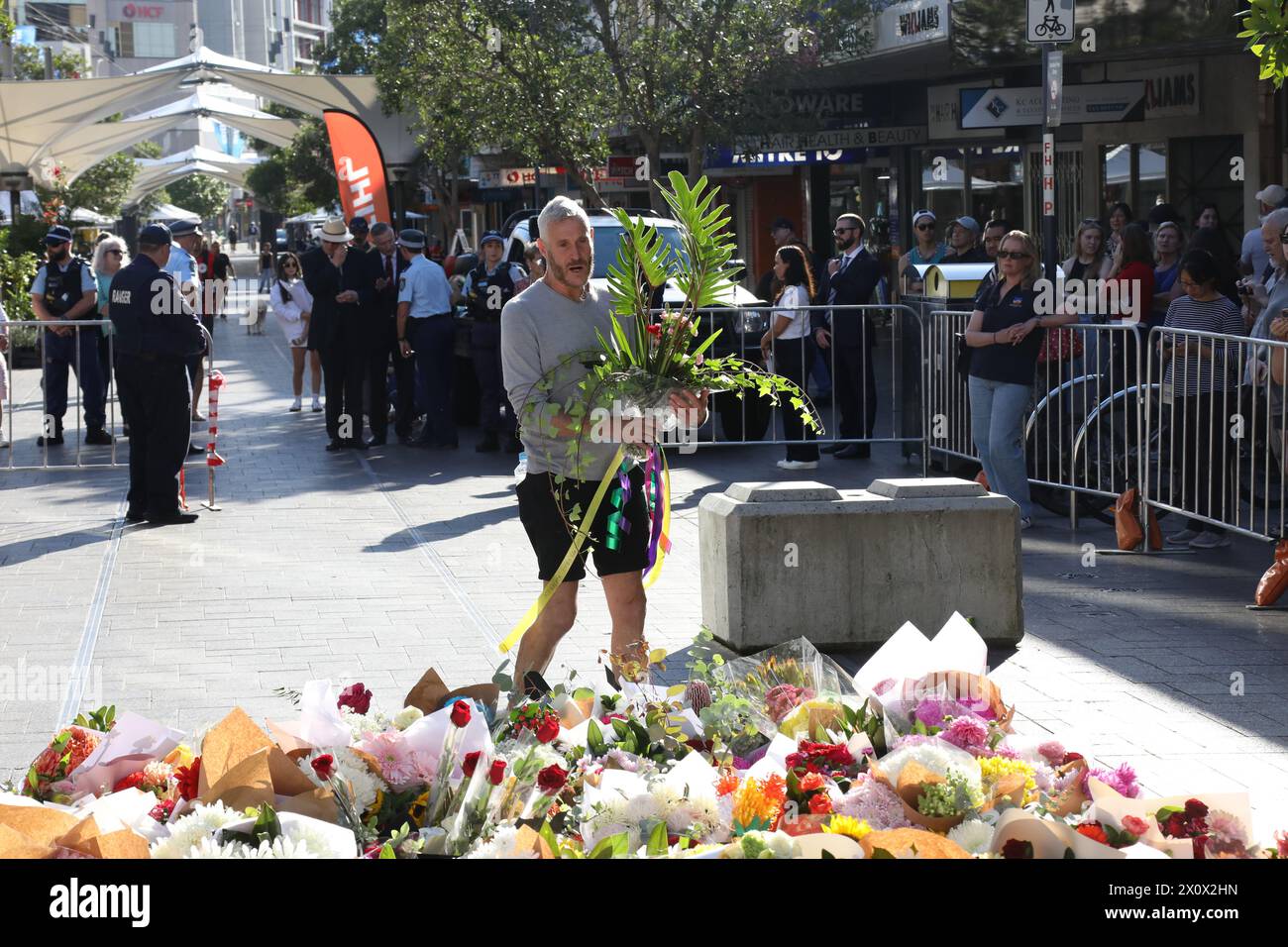 Sydney, Australia. 14 aprile 2024. La scena del crimine di Westfield Bondi Junction è ancora chiusa dalla polizia e la gente sta lasciando fiori nel centro commerciale di fronte, dopo che un aggressore di coltello malato di mente, Joel Cauchi, 40 anni, è andato in preda a una furia uccidendo 6 persone. Crediti: Richard Milnes/Alamy Live News Foto Stock