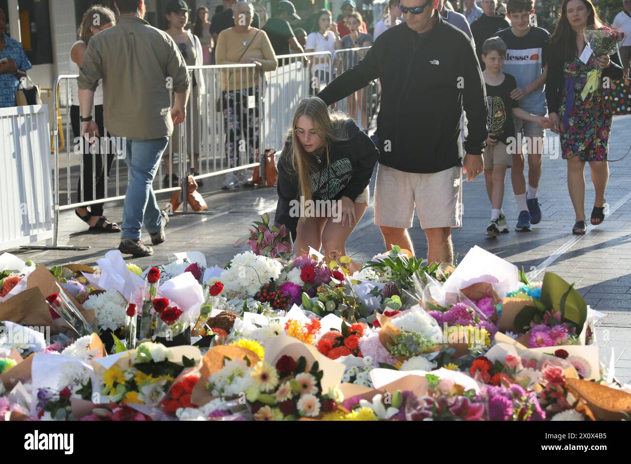 Sydney, Australia. 14 aprile 2024. La scena del crimine di Westfield Bondi Junction è ancora chiusa dalla polizia e la gente sta lasciando fiori nel centro commerciale di fronte, dopo che un aggressore di coltello malato di mente, Joel Cauchi, 40 anni, è andato in preda a una furia uccidendo 6 persone. Crediti: Richard Milnes/Alamy Live News Foto Stock