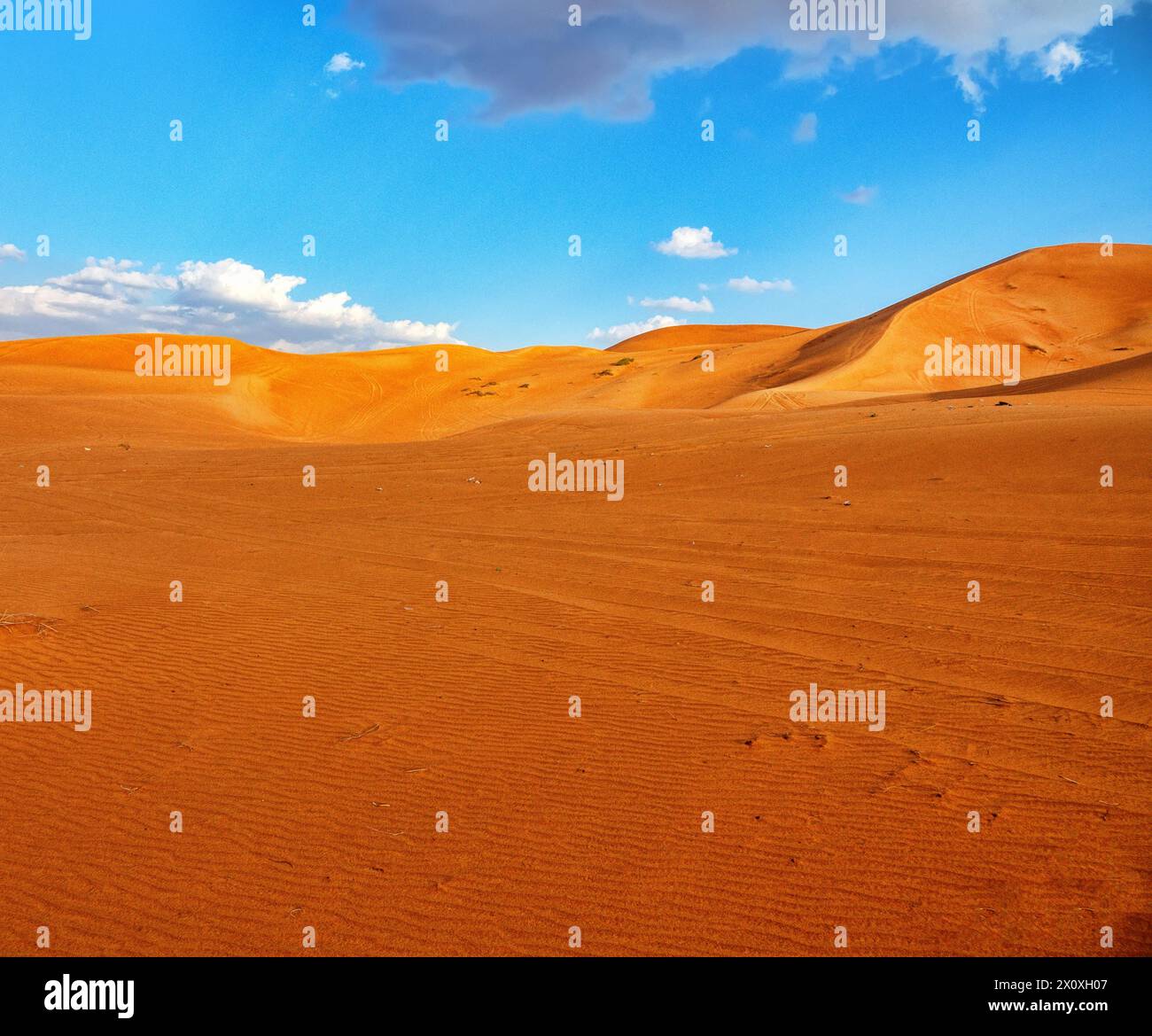 Deserti caldi della parte sud-orientale della penisola arabica. Duna barchan arancione (aree di sabbia interne, sabbie di deriva) a gennaio Foto Stock