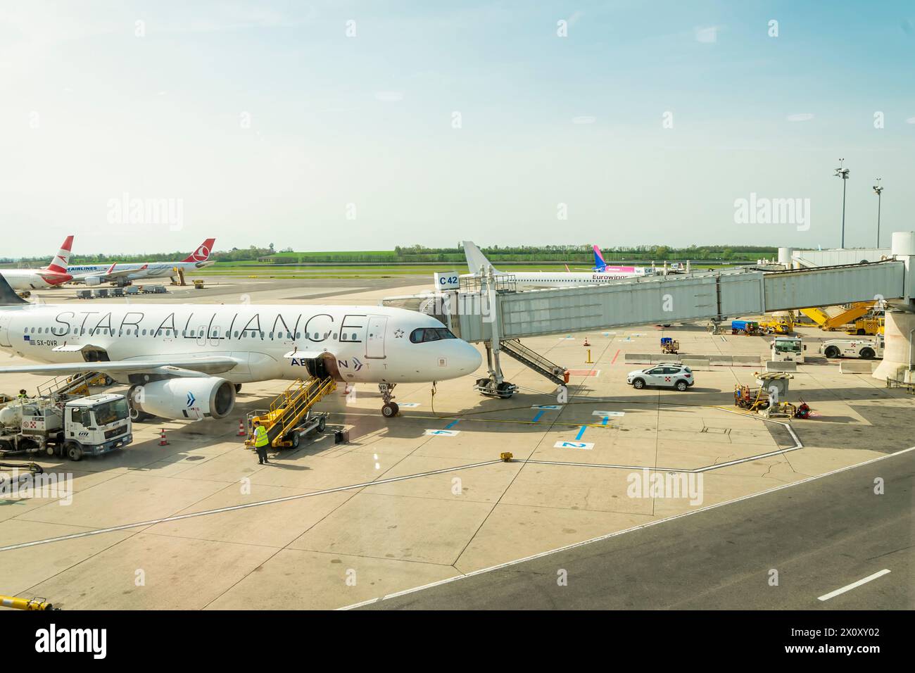 Piazzale aeroportuale con un aereo Star Alliance; Austria, Vienna, 9 aprile 2024. Foto Stock