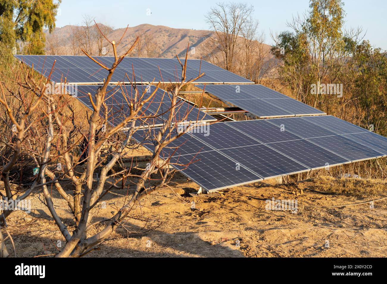 Pannelli solari per la generazione di energia rinnovabile convertita in elettricità da utilizzare nelle aziende agricole per l’irrigazione Foto Stock