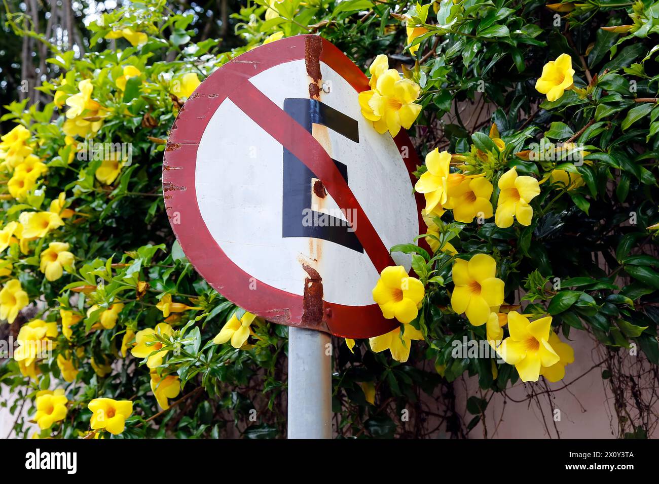 segnaletica stradale bianca che indica l'assenza di parcheggio Foto Stock
